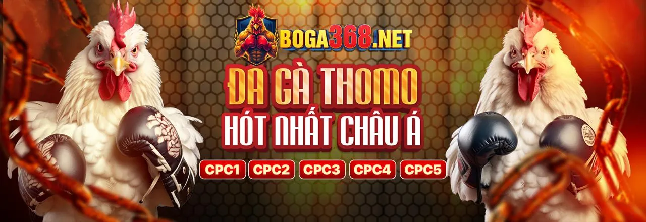 Đá Gà good88 12cc